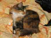 Spink�m v pe�in�ch. Na tebe u� nezbylo m�ste�ko :-)